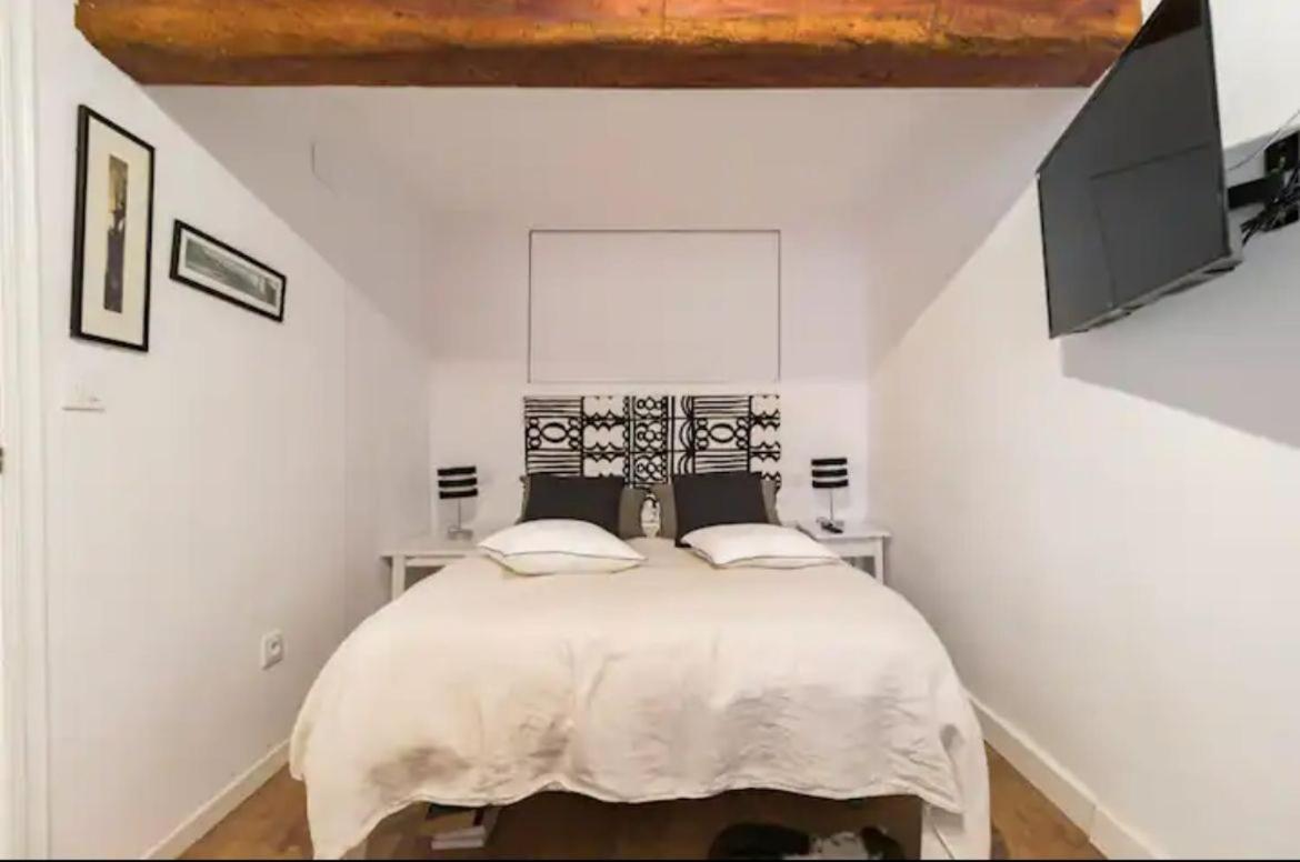 Central Monkey Apartment - Grupo Rh Santander Dış mekan fotoğraf